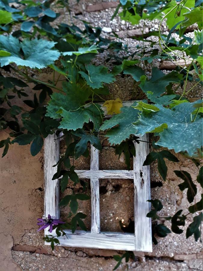 Little Vine Bed and Breakfast Sant Pere De Ribes Exterior foto